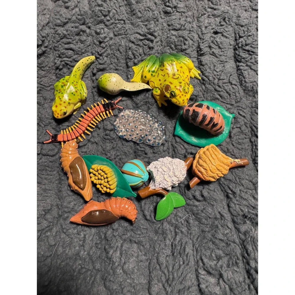 Life Cycle Toy Set Frog Butterfly Insect Educational Science Figures Lot
